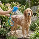Kit de toilettage complet avec Tuyau Flexible pour animaux – Image 5